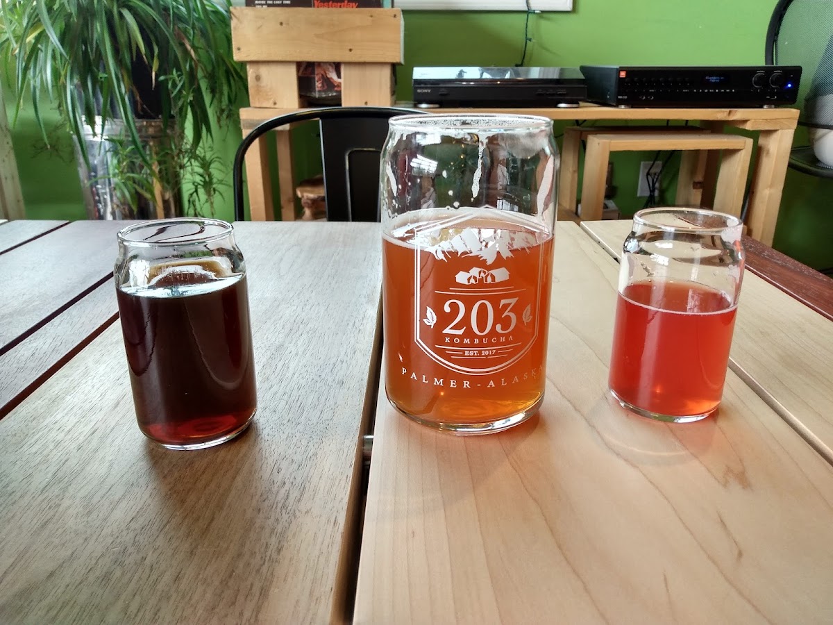 203 Kombucha Photos 9