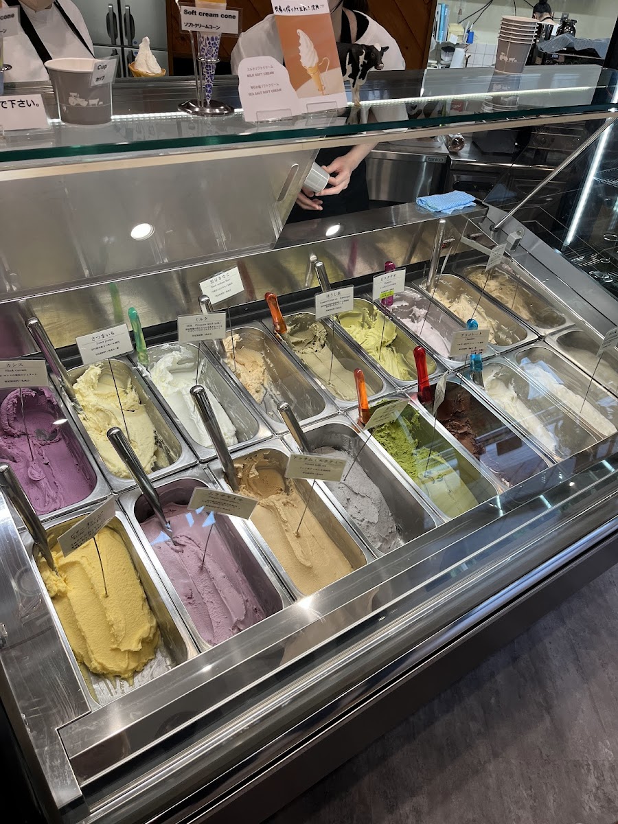 Acacia Farm Photos 2