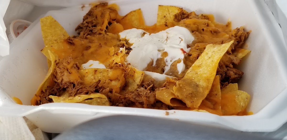 Alicia's Taco Dome Photos 9