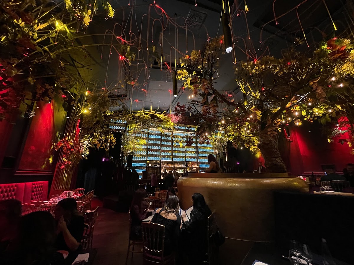 Ambasciatori Club Restaurant