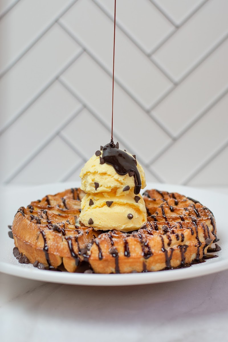 Amori Waffle Photos 2