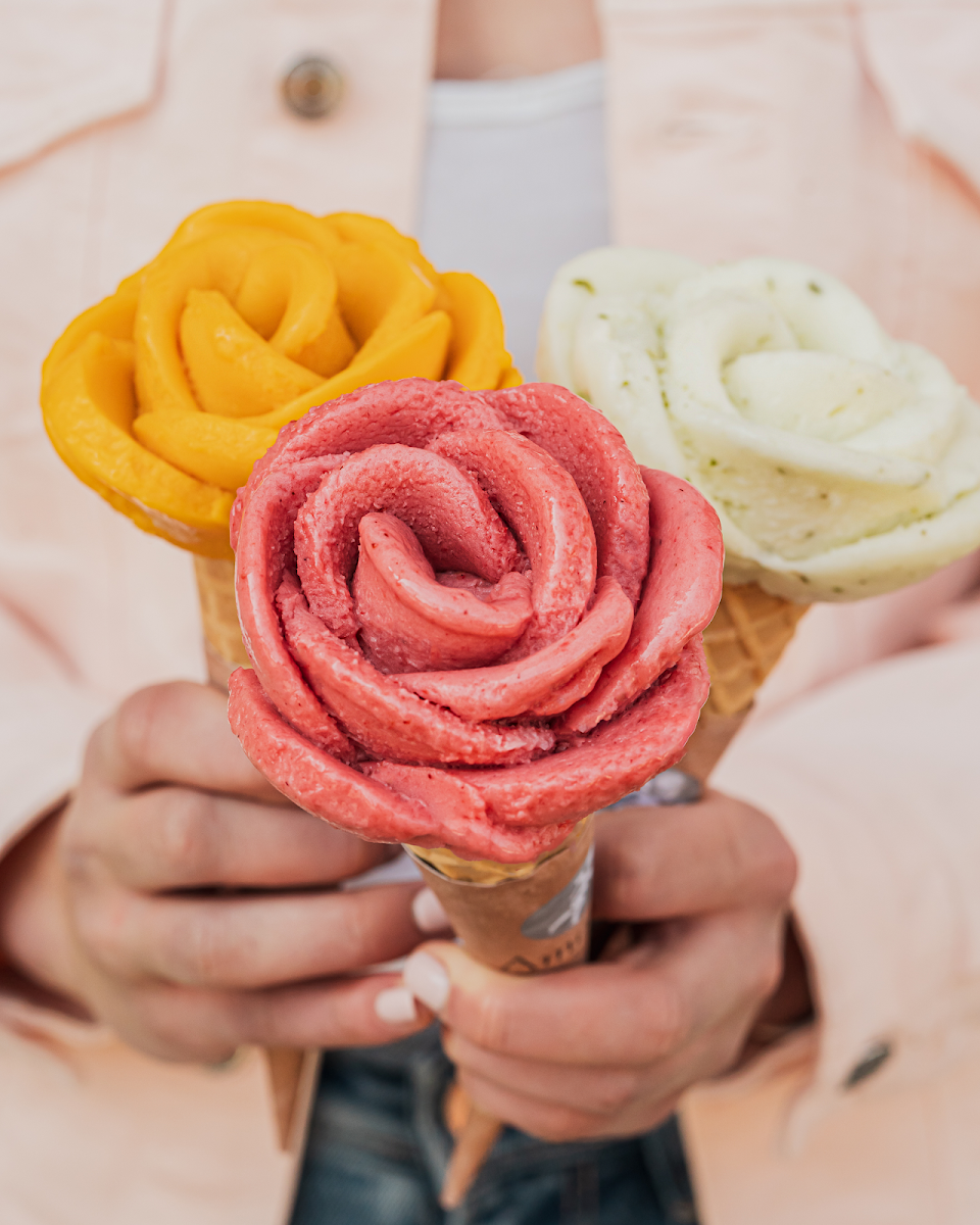 Amorino Gelato - Paris Luxembourg Photos 2