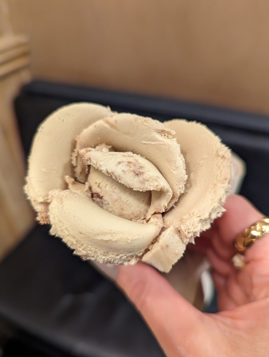 Amorino Gelato Photos 9