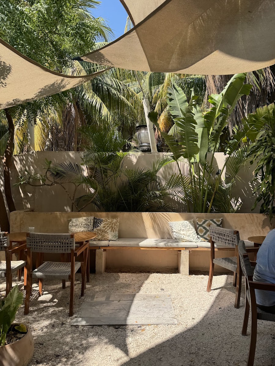 Another Clandestino: Coffee, Bread & Breakfast Photos 2