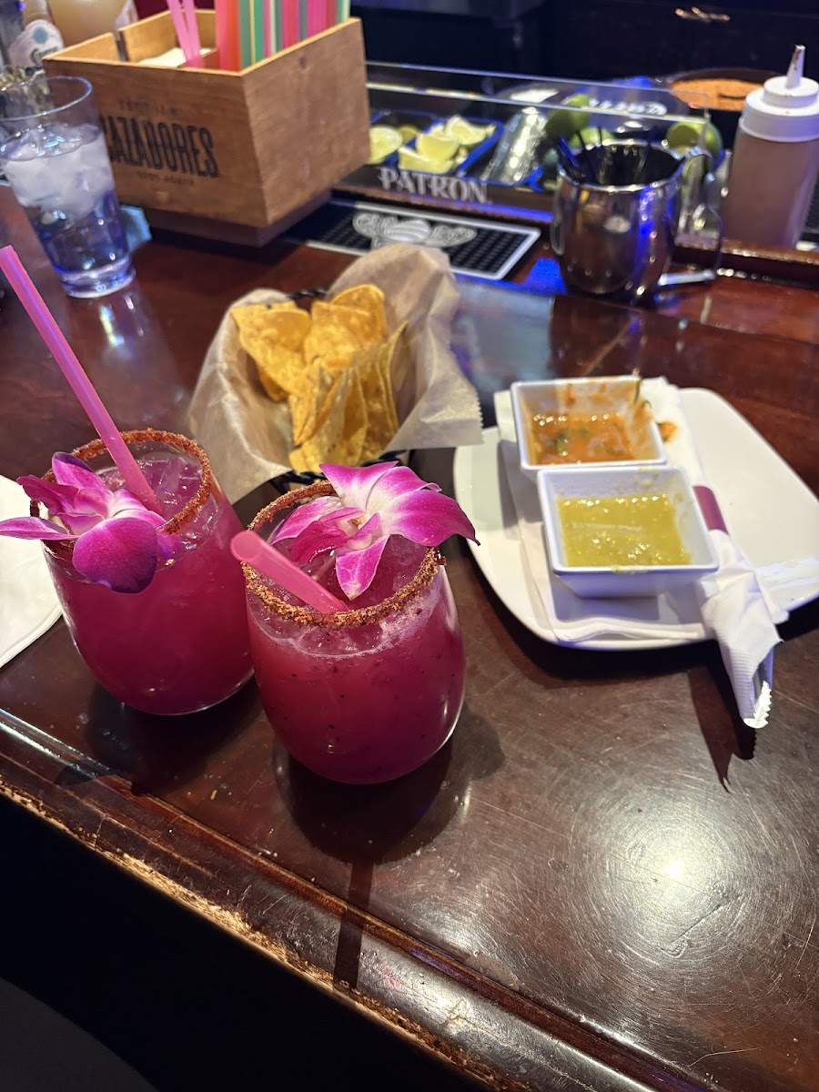 Antigua Mexican Grill Photos 2