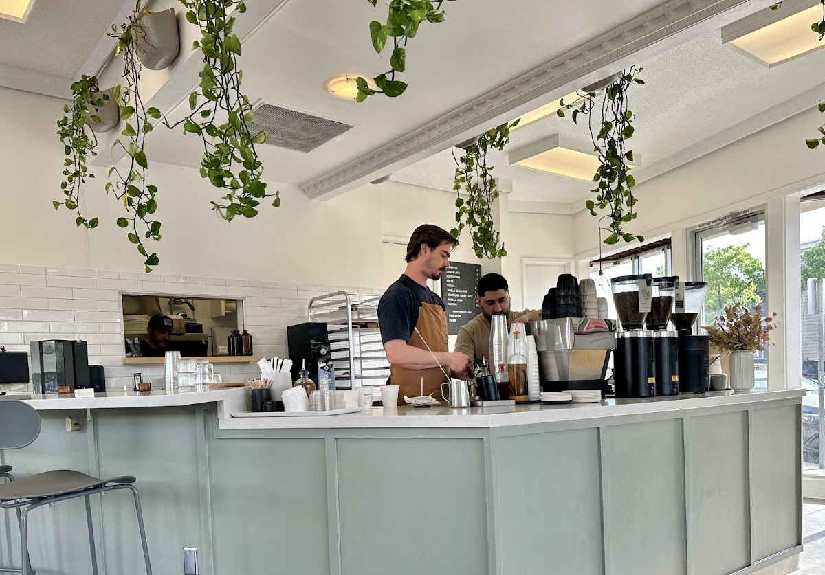 Attalus Coffee