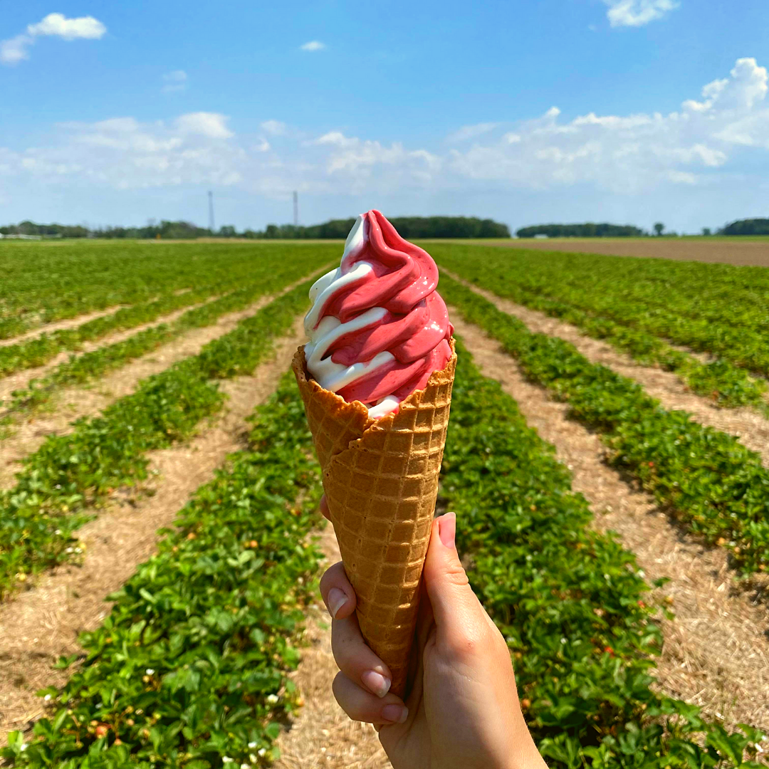 Au Silo Glacé