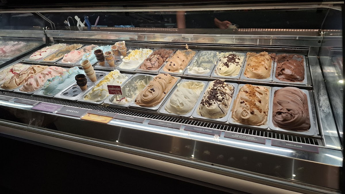 Augustus Gelatery - Bendigo Photos 2