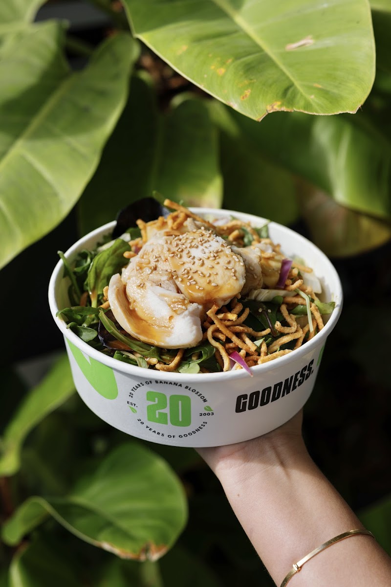 Banana Blossom Warringah Mall Photos 9