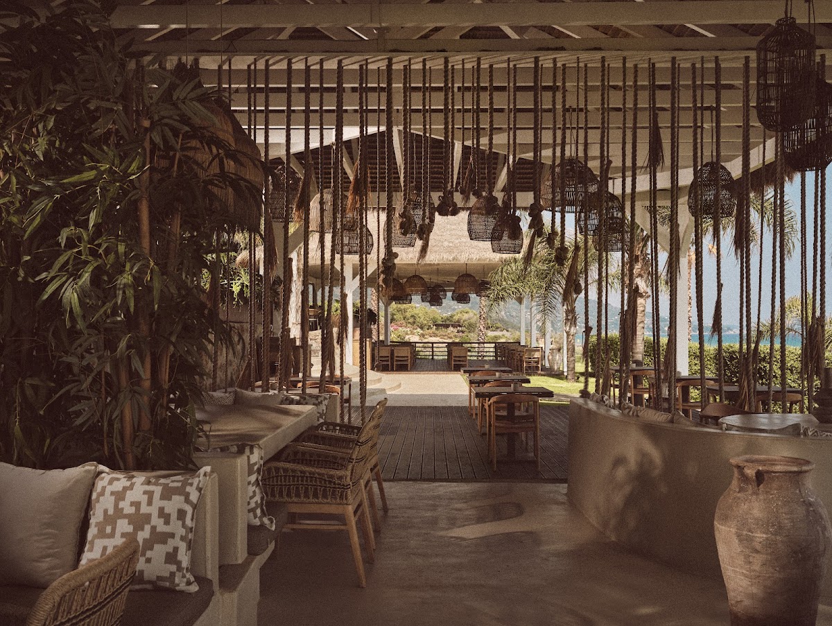 Banana Casa Playa Beach Bar Restaurant Photos 2
