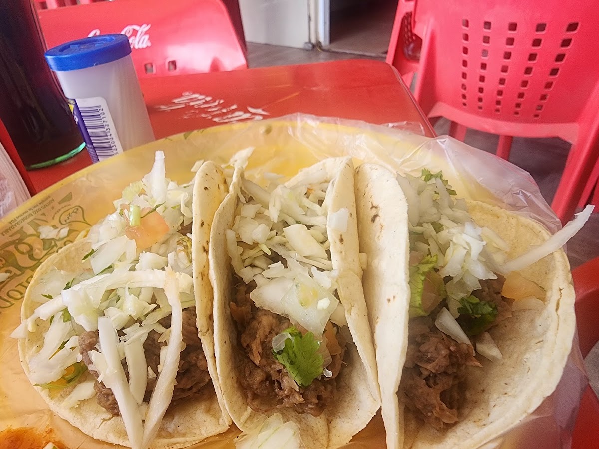 Barbacoa La Norteña Photos 9