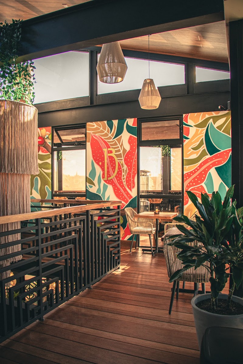 Baristi Tostadores