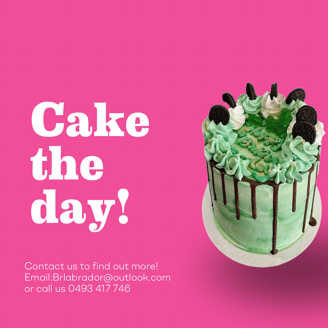 Baskin-Robbins Labrador Photos 2