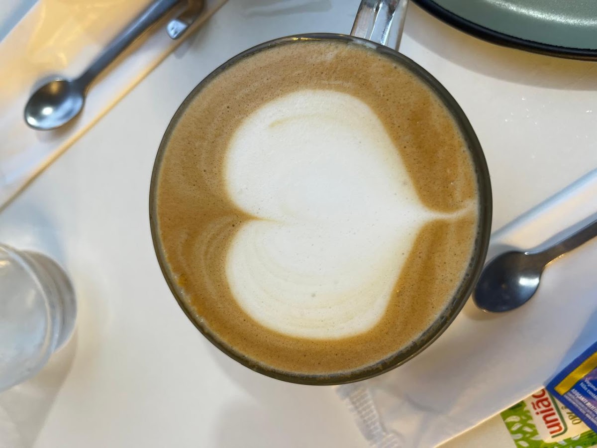 Betina Cat Café Photos 9