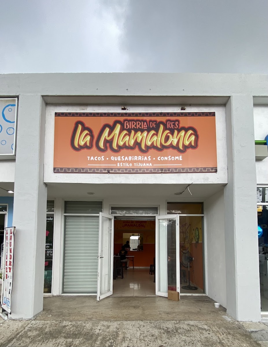 Birria De Res “La Mamalona”