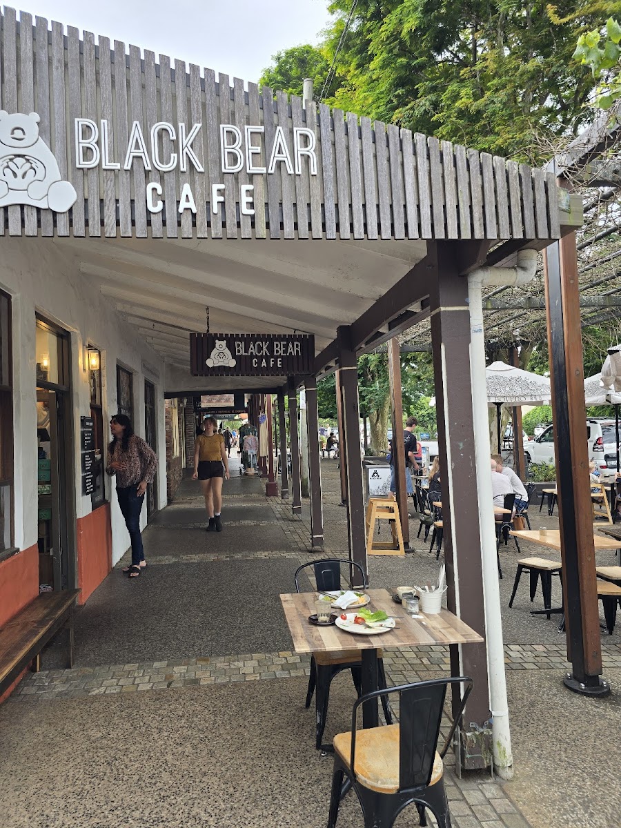 Black Bear