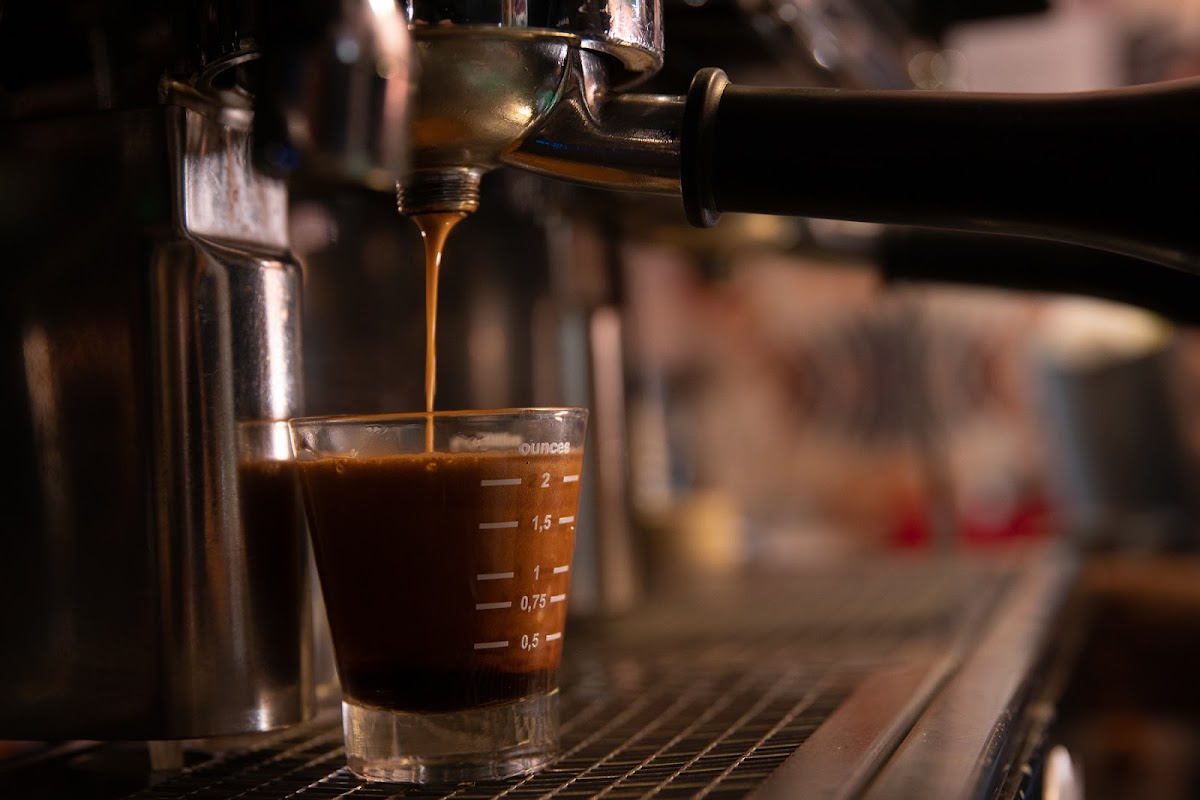 Black Box Coffeeworks - World Of Birds Photos 9