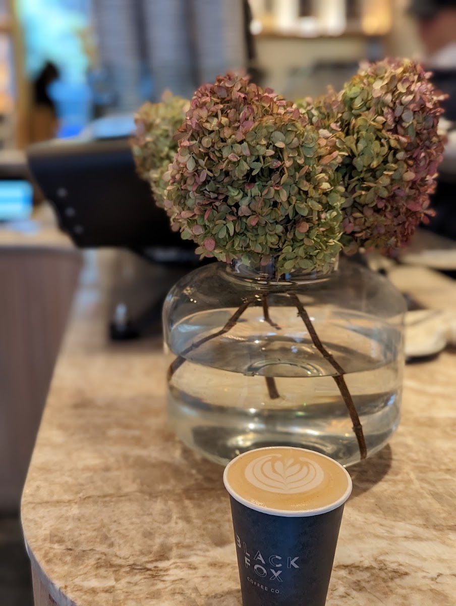Black Fox Coffee Photos 9