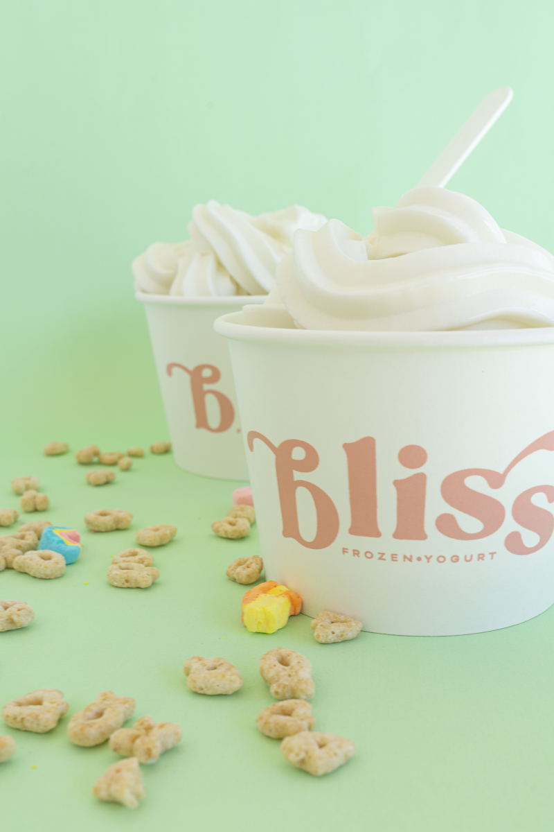 Bliss Frozen Yogurt Photos 9