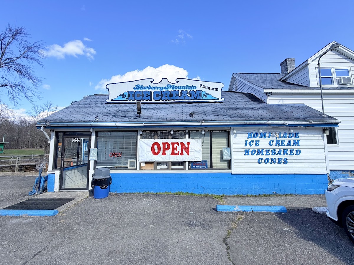 Blueberry Mountain Ice Cream