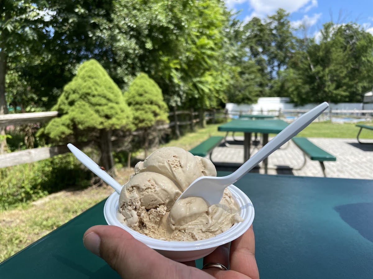 Blueberry Mountain Ice Cream Photos 9