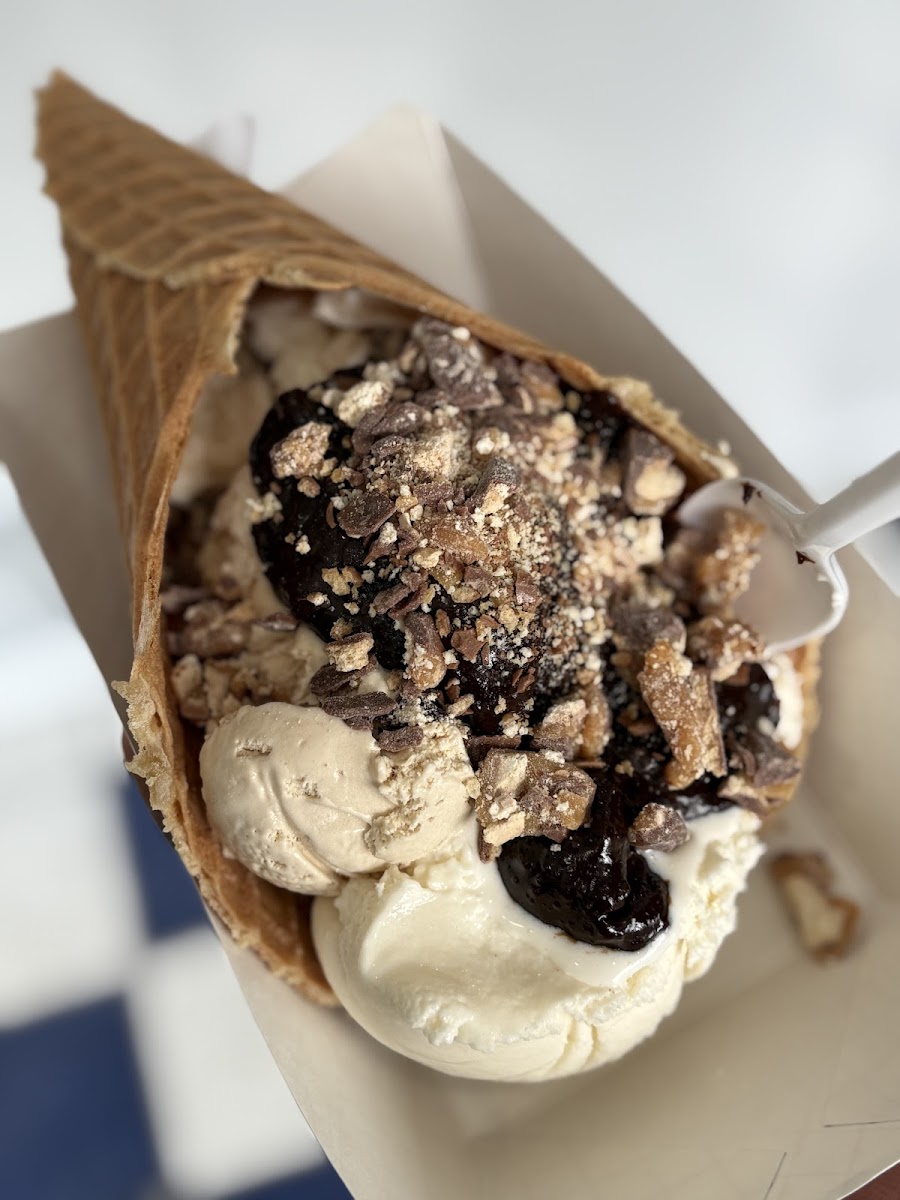 Blueberry Mountain Ice Cream Photos 2