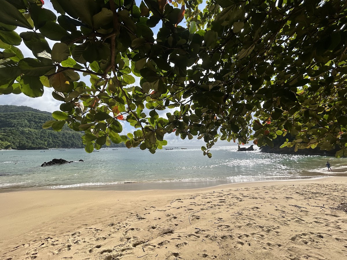 Boatview Beach Bar Castara Photos 2