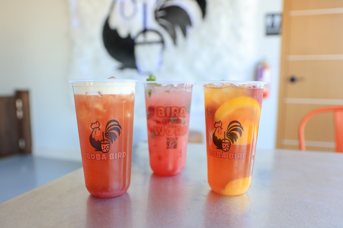 Boba Bird Photos 2