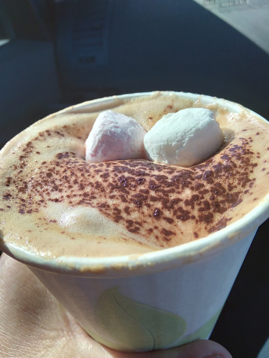 Bobhat Espresso