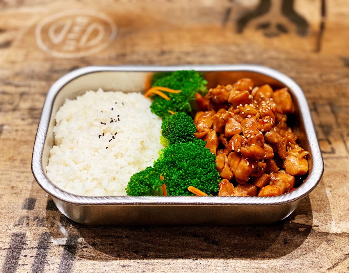 Bobo Bento Box Photos 9