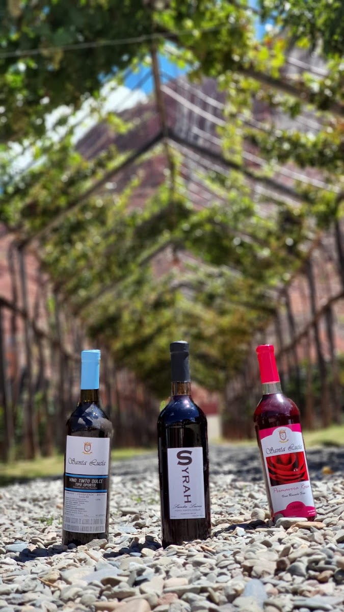 Bodega Santa Lucía