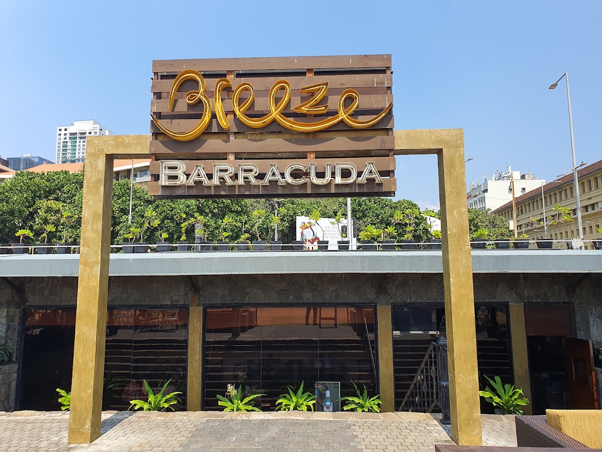 Breeze Barracuda
