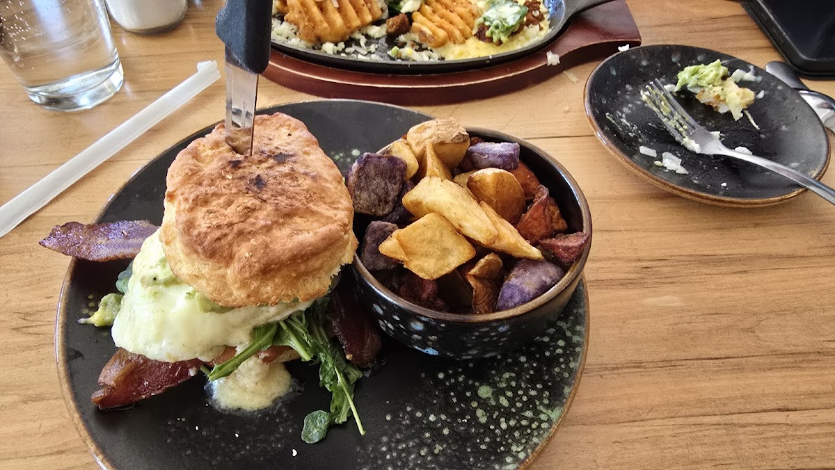 Brunch & Co Photos 2