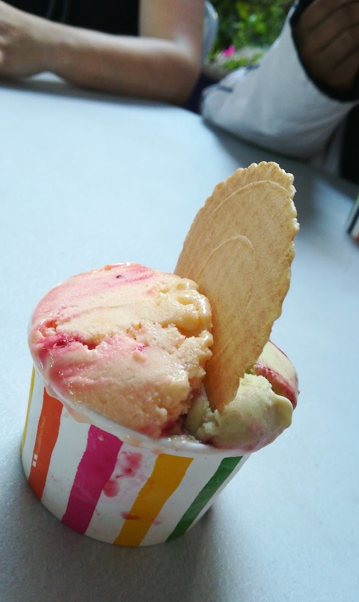 Butterfly Tongue - Artisan Ice Cream Parlor Photos 9