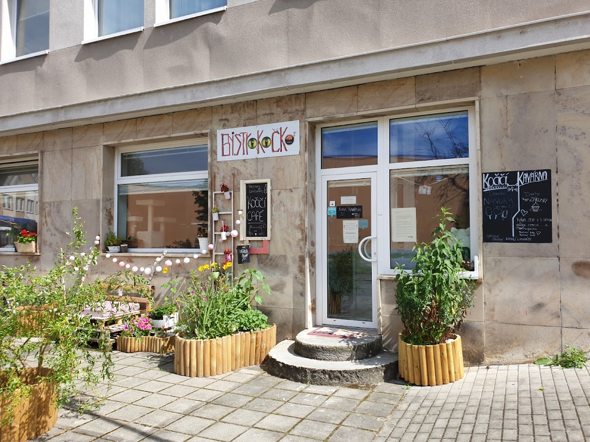 Bystrokočko Cat Café