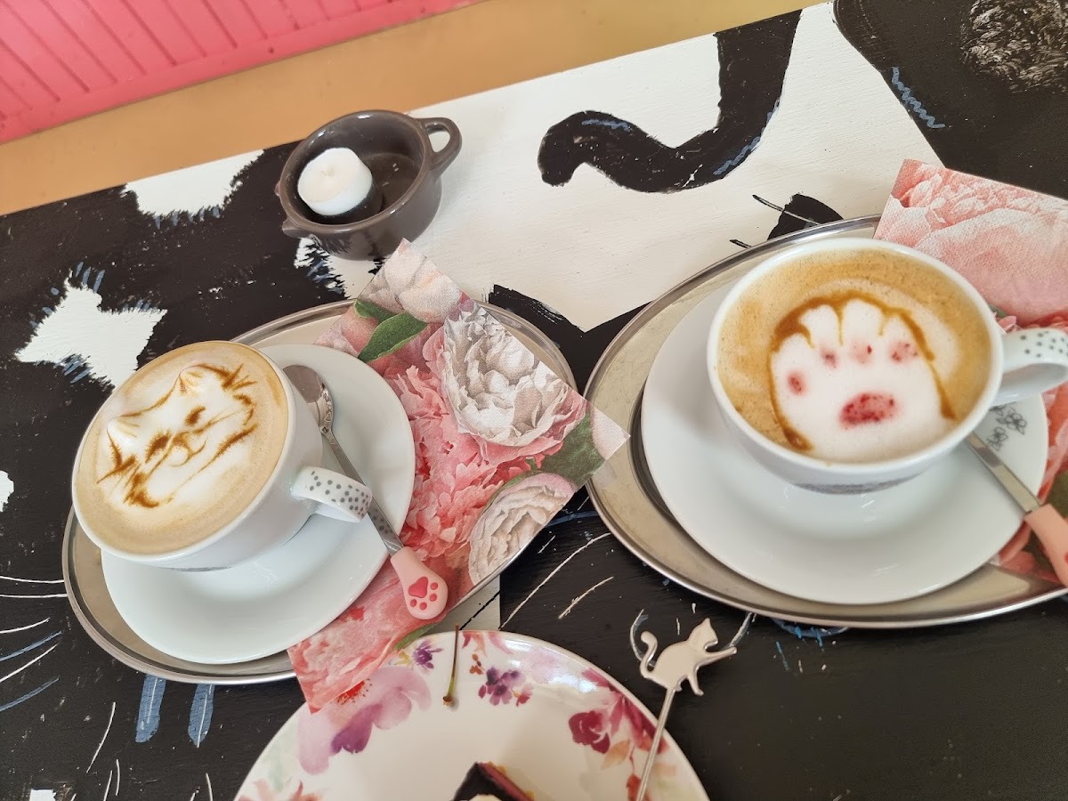 Bystrokočko Cat Café Photos 9
