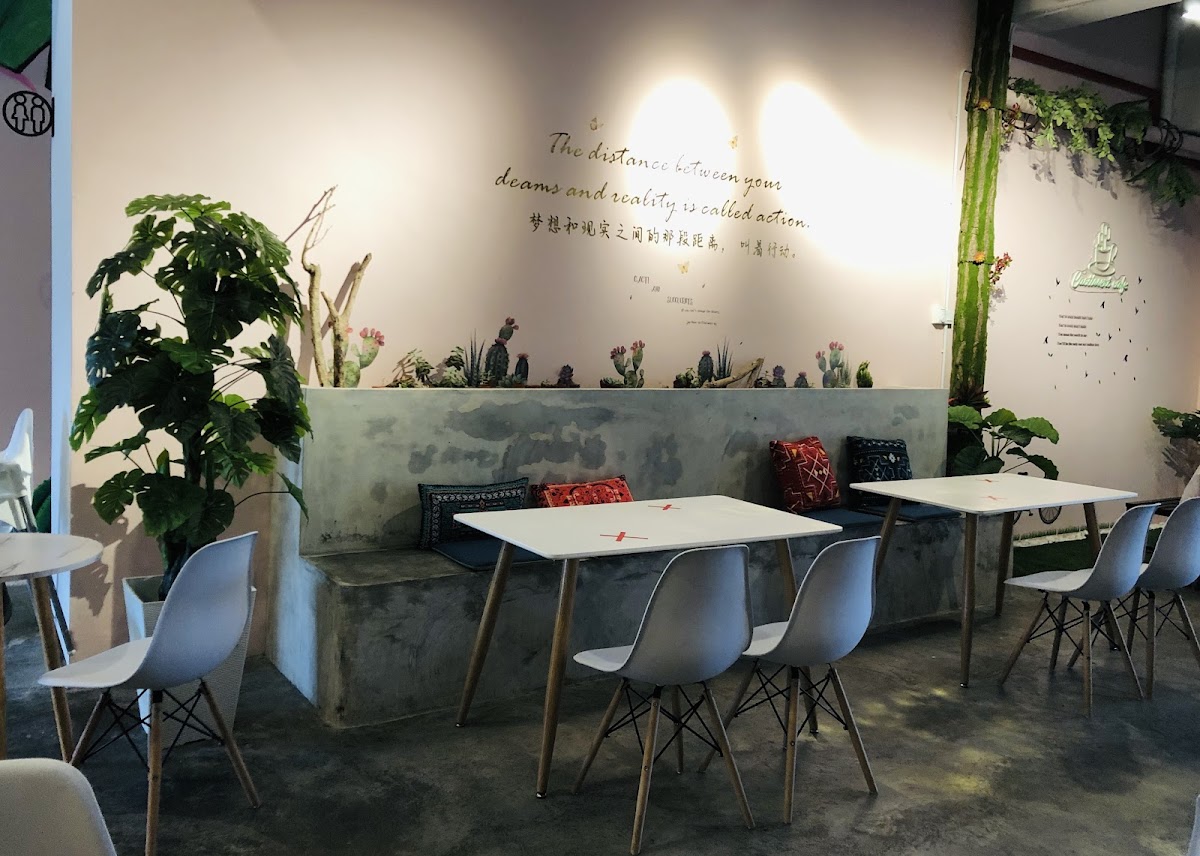 Cactissert Cafe
