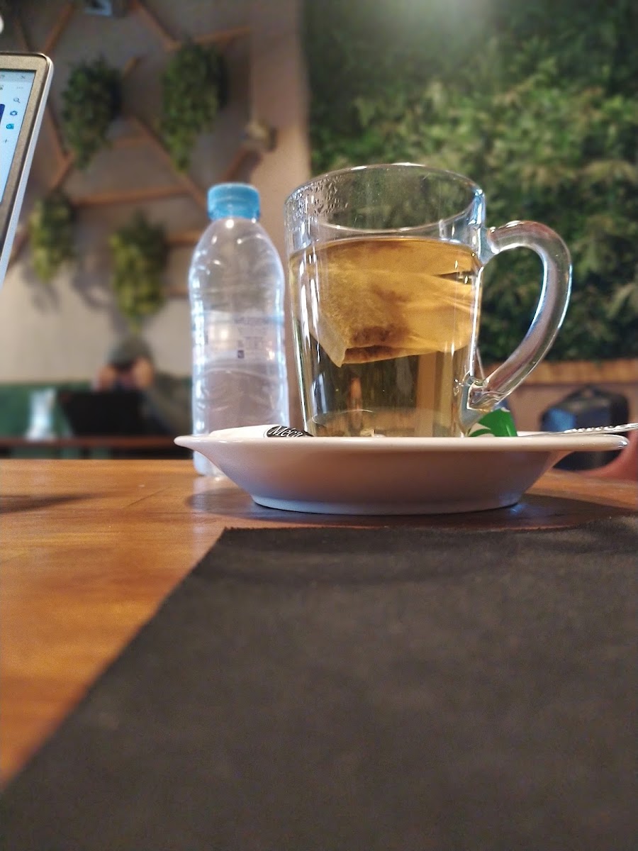 Cactus Café Marrakech Photos 9