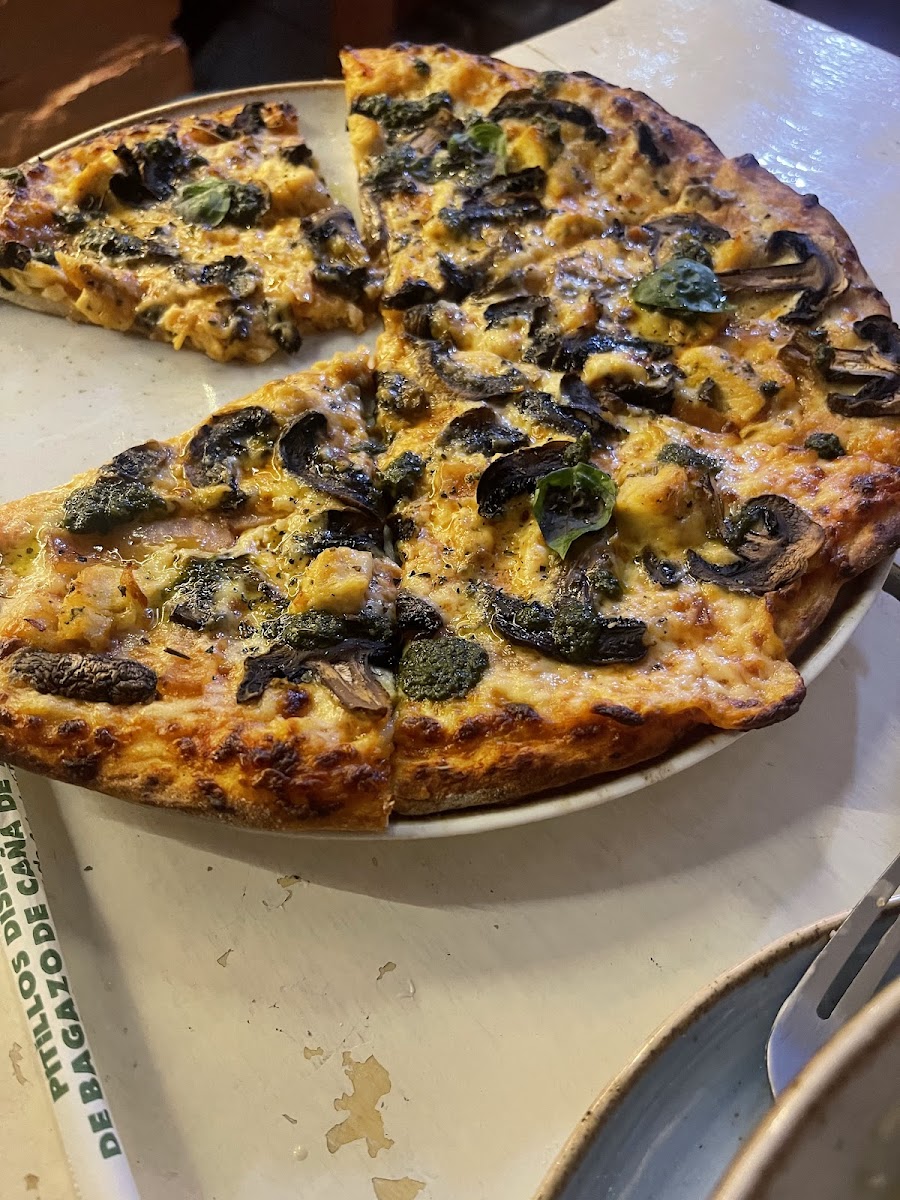 Cafe Europa San Gil Photos 2