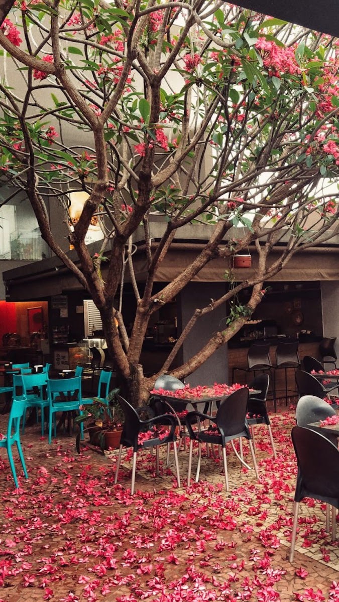 Café Galeria Photos 2