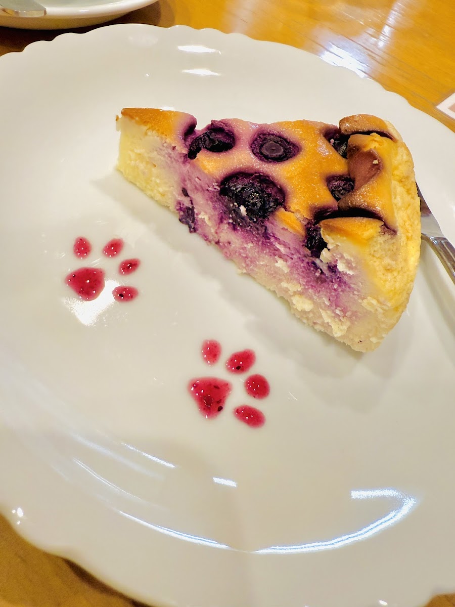 Cafe Maera Photos 2