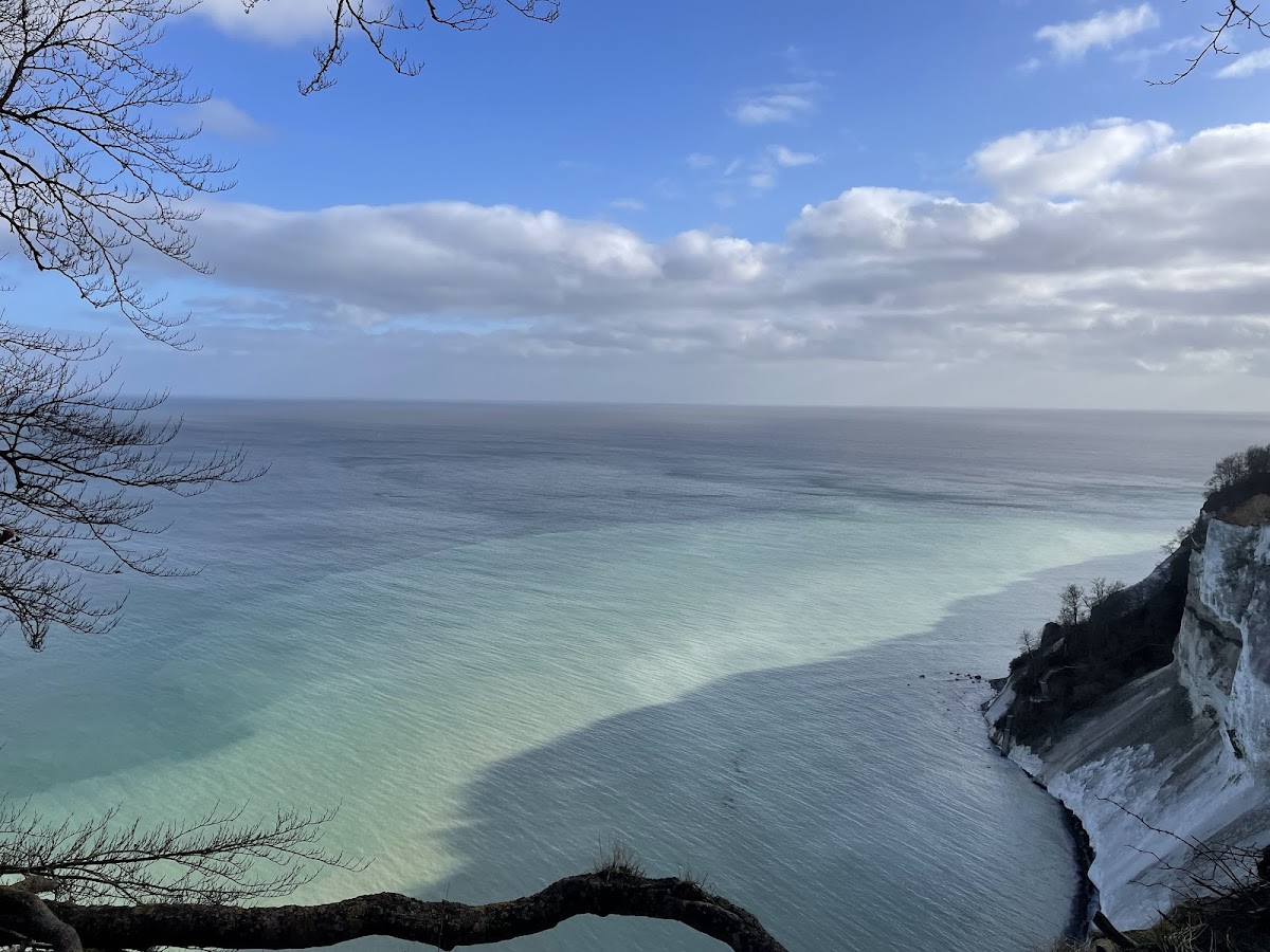 Café Møns Klint Photos 2