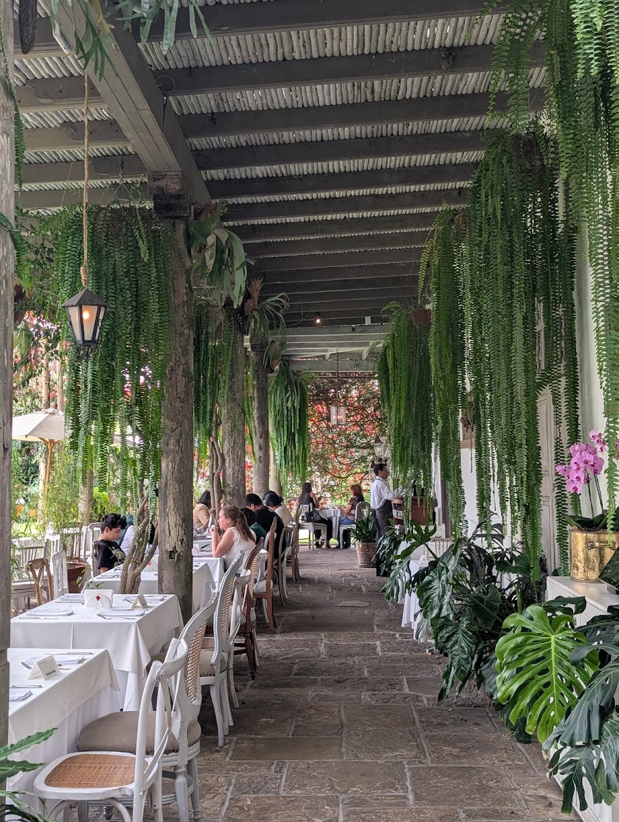 Cafe Museo Larco Photos 2