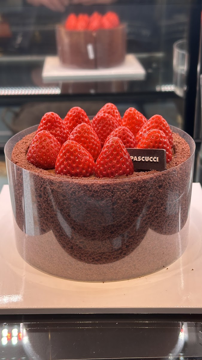 Cafe Pascucci Photos 9