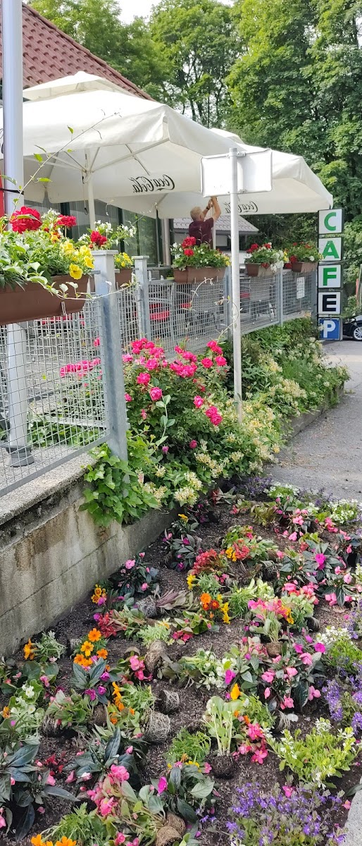 Cafe Spittal An Der Drau Photos 2