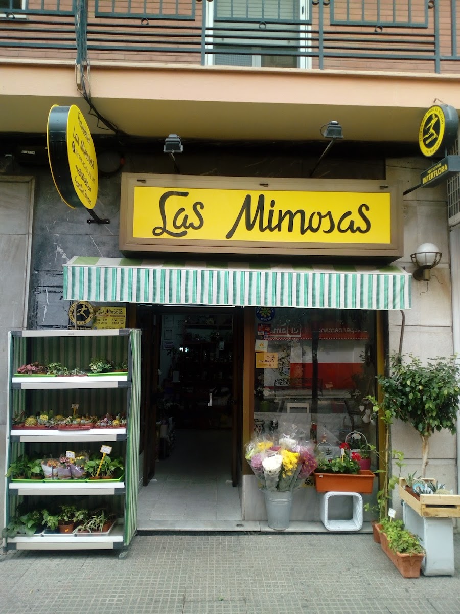 Cafetería Dimarmo مقهى
