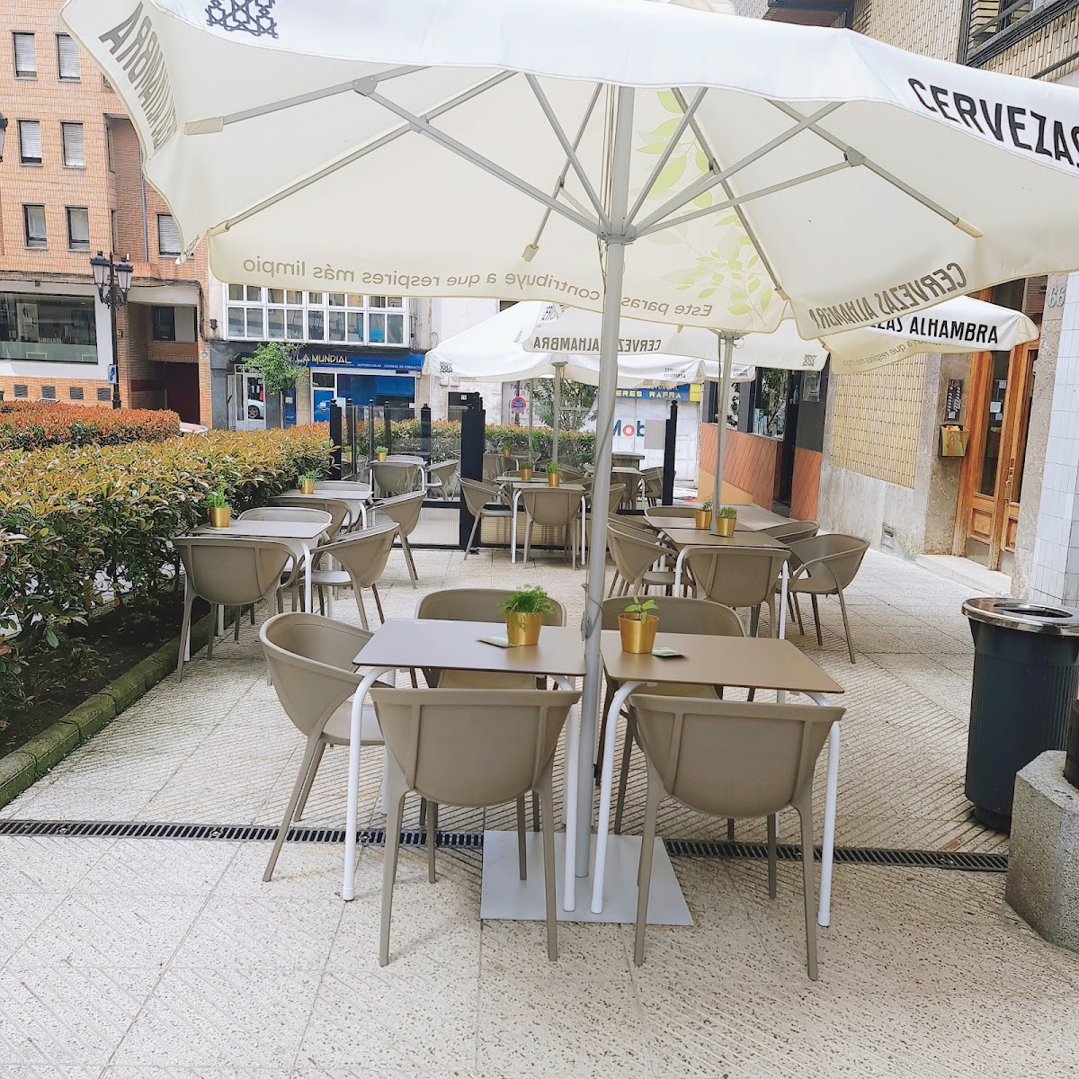 Cafetería Líder