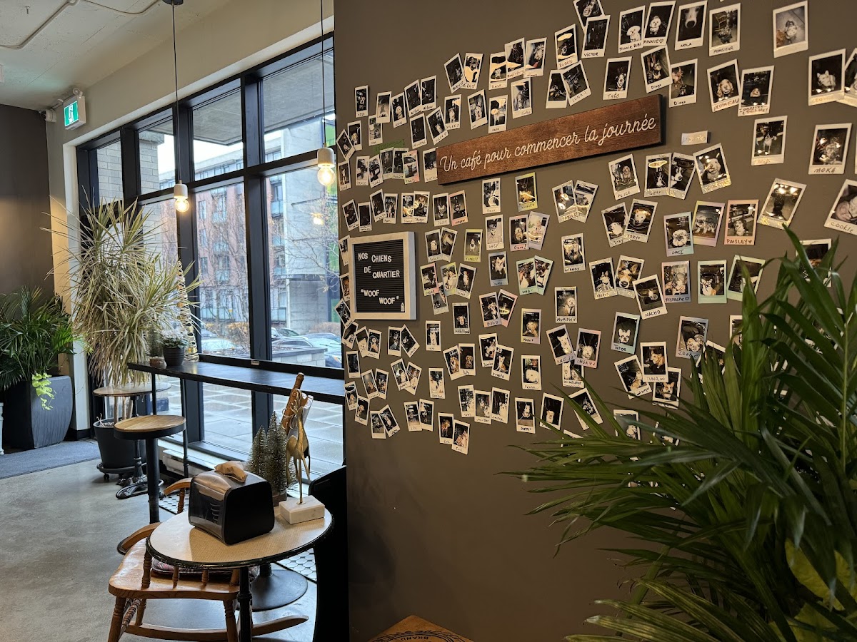 Canard Café Montréal - Ville Marie