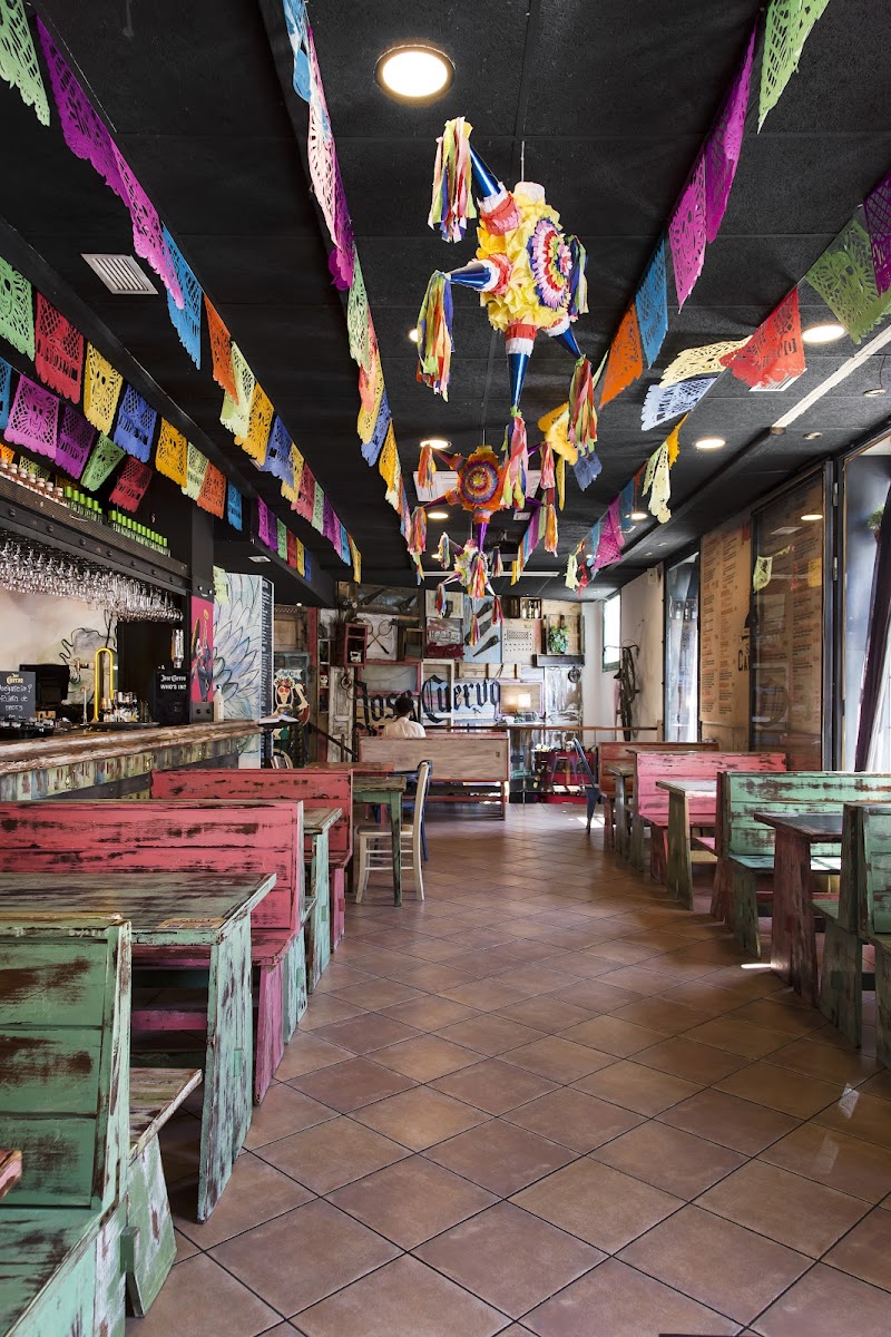 Cantina Canalla Ópera - Sol - Restaurante Mexicano