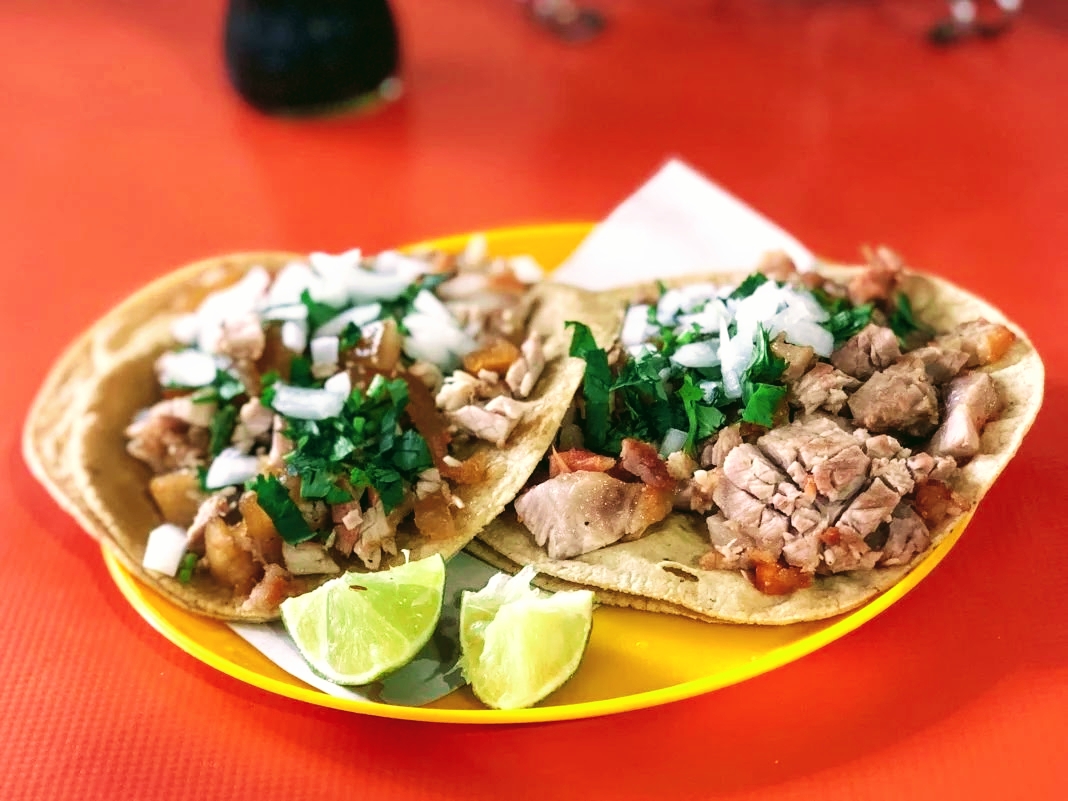 Carnitas Tacoyote